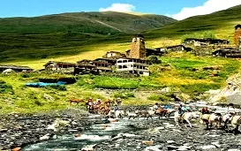 پارک ملی توشتی بهشت جنگلی گرجستان
